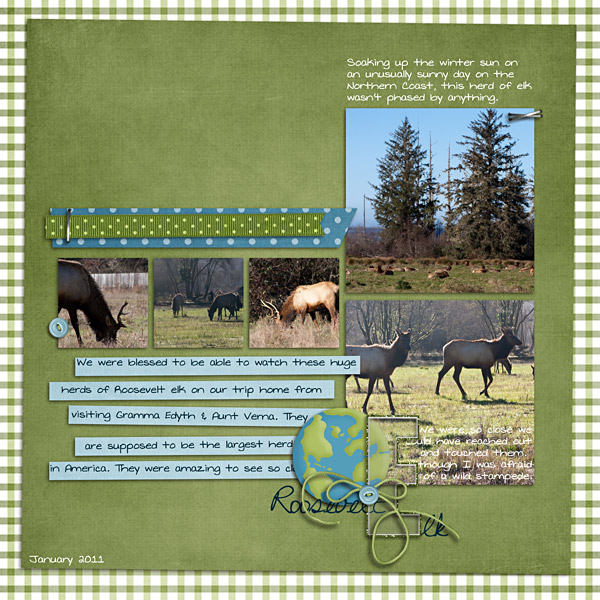 Roosevelt Elk