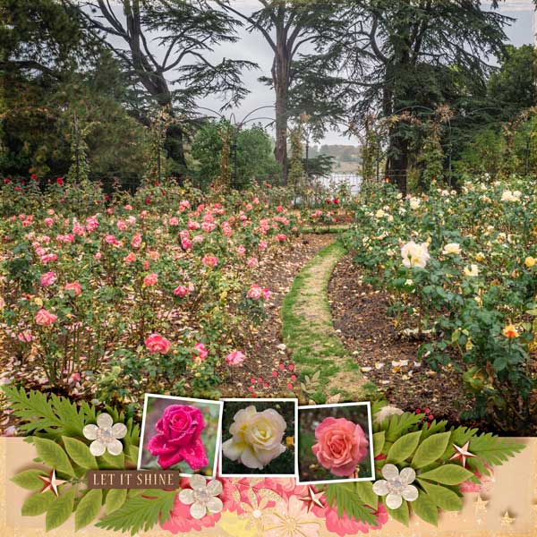 Rose Garden in October