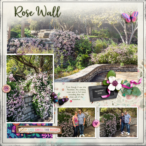 Rose Wall