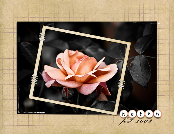 rose