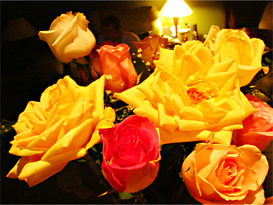 Roses Close