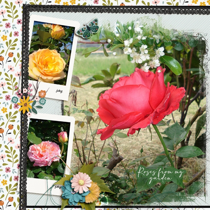 Roses