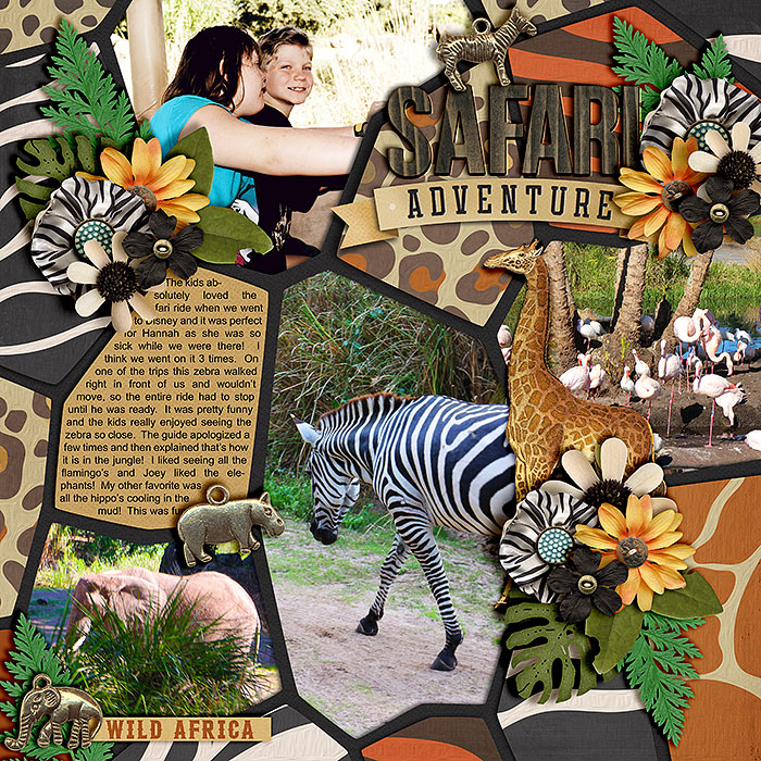RTM: Animal Kingdom