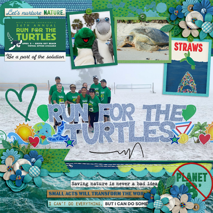 Run for the Turtles