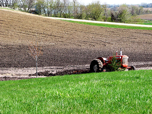Rural Challenge