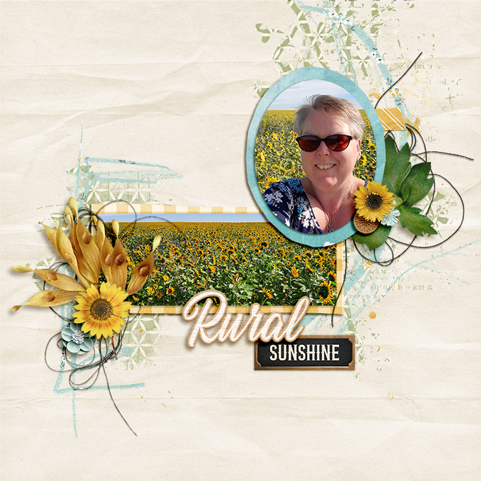 Rural Sunshine