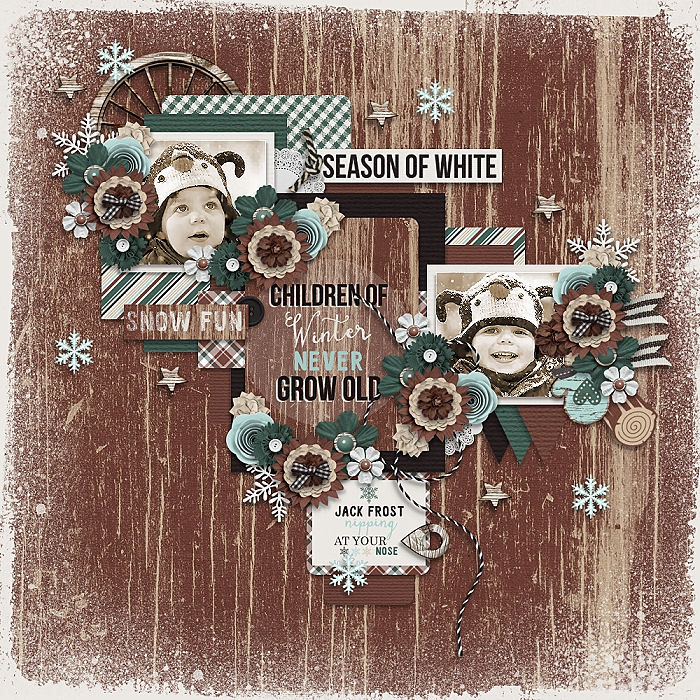 Rustic Winter
