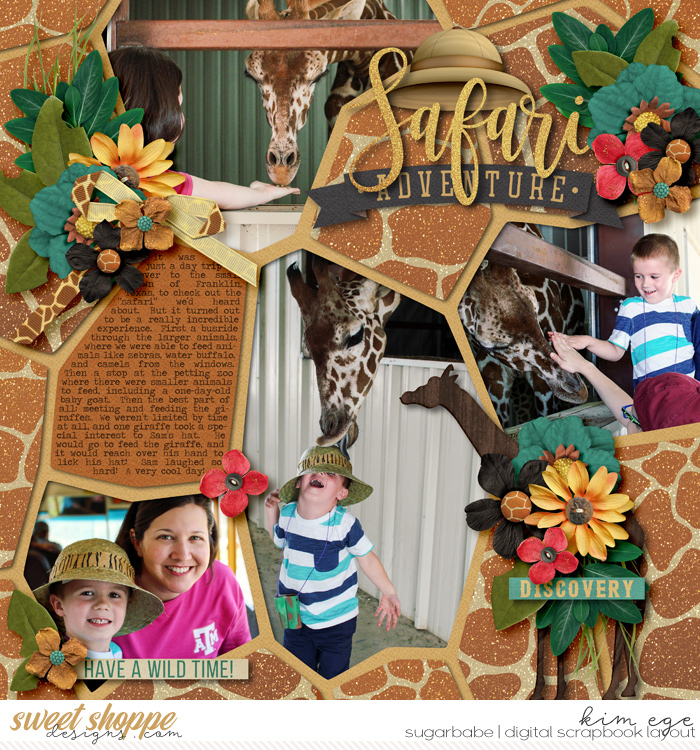 Safari Adventure