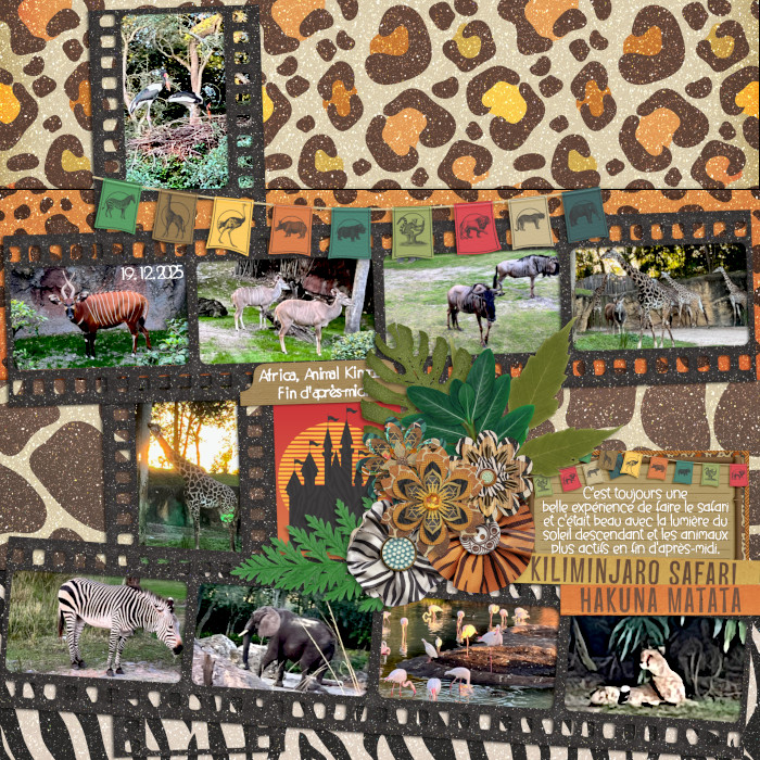 Safari Animals