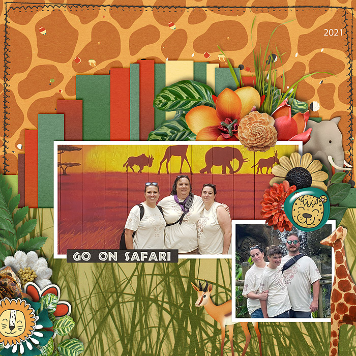 Safari