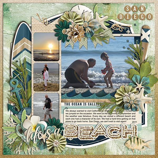 San Diego beaches
