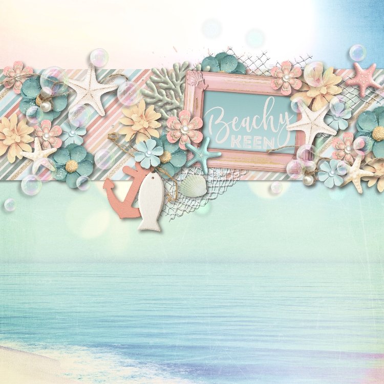 Sand and seashells