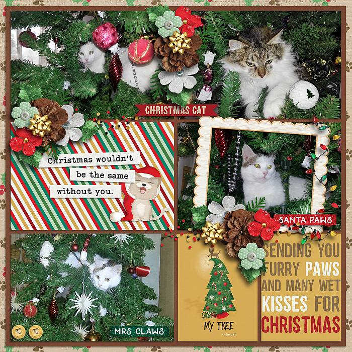 Santa paws