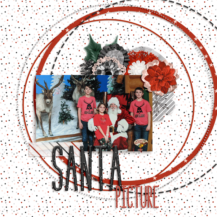 Santa Picture