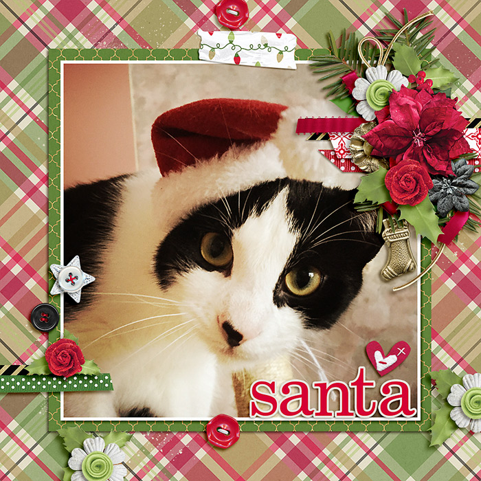 santa