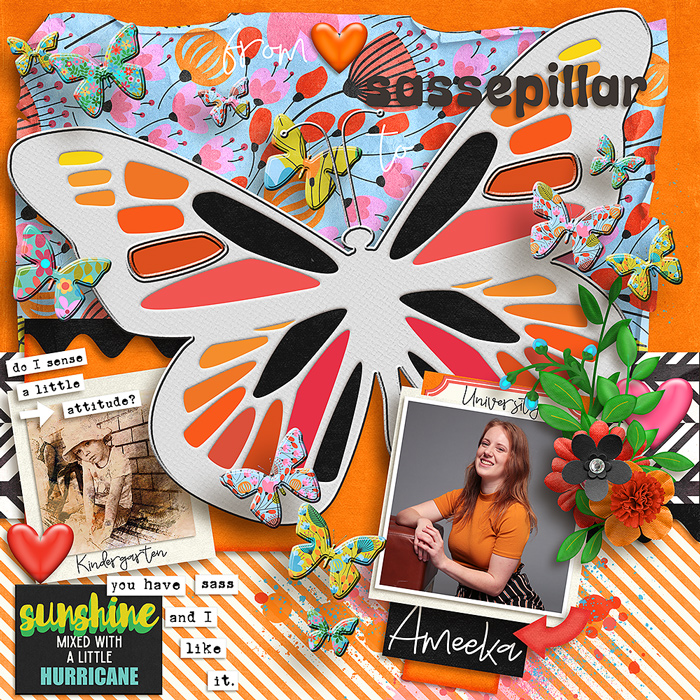 Sassepillar to Butterfly