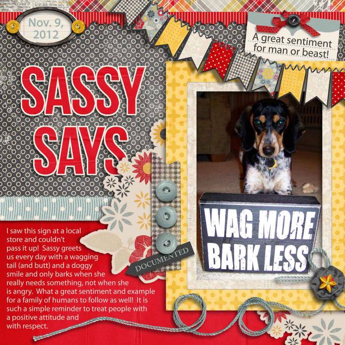 Sassy Says