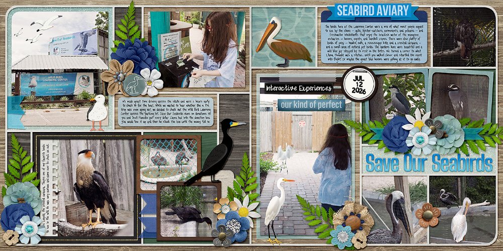 Save Our Seabirds Wild Bird Learning Center
