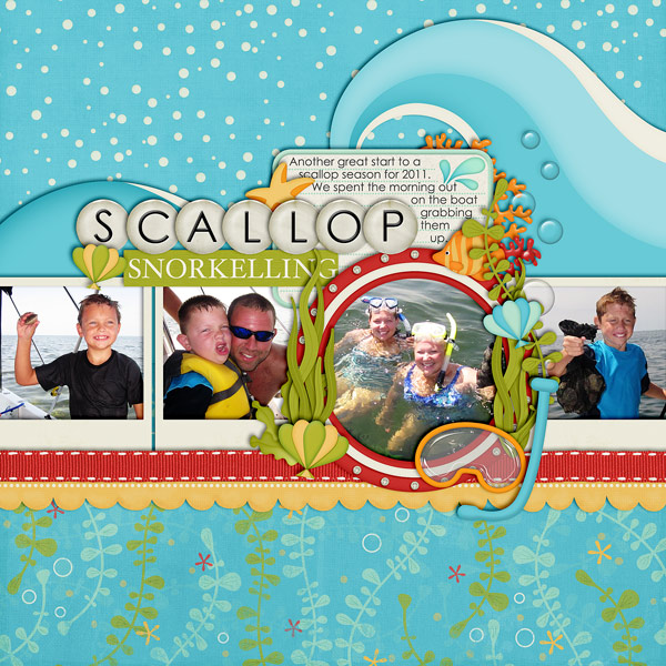 Scallop Snorkelling