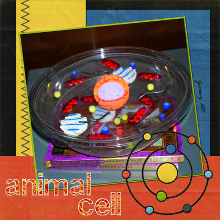 School Project:  Animal Cell