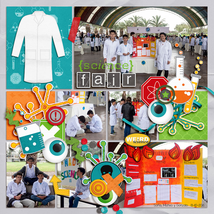science fair