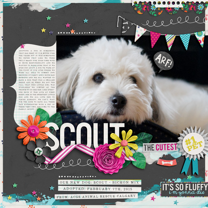 Scout