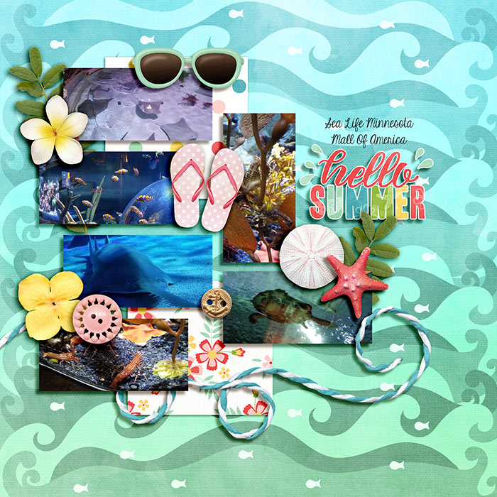 Sea Life