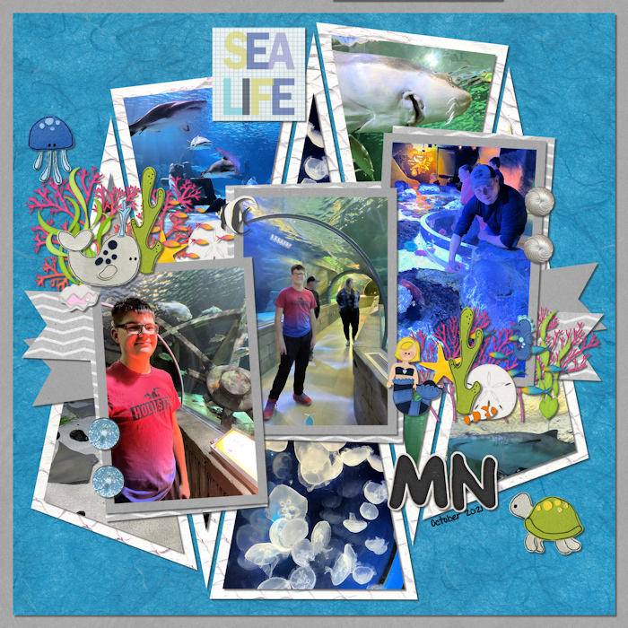 Sea Life