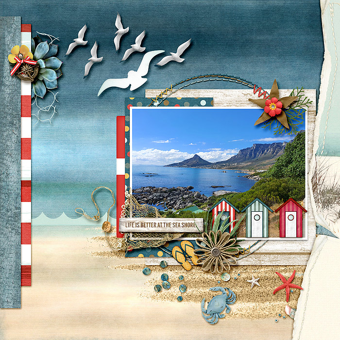 Sea shore
