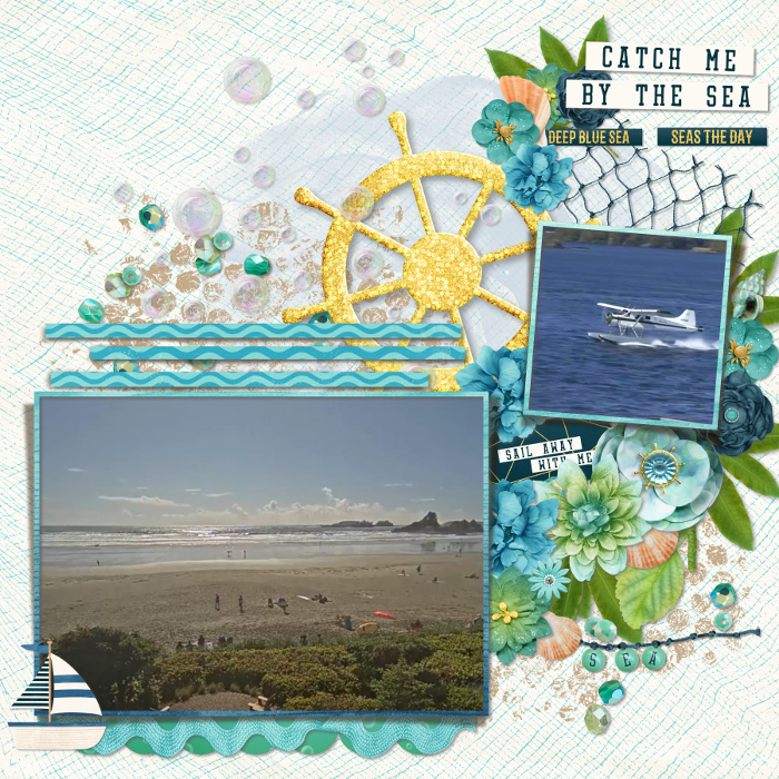 Sea shore