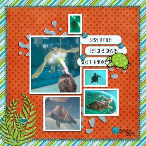 Sea Turtle Rescue Center