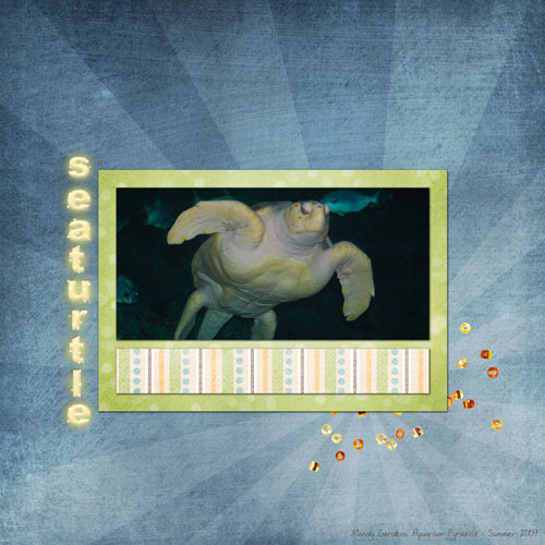 Sea Turtle