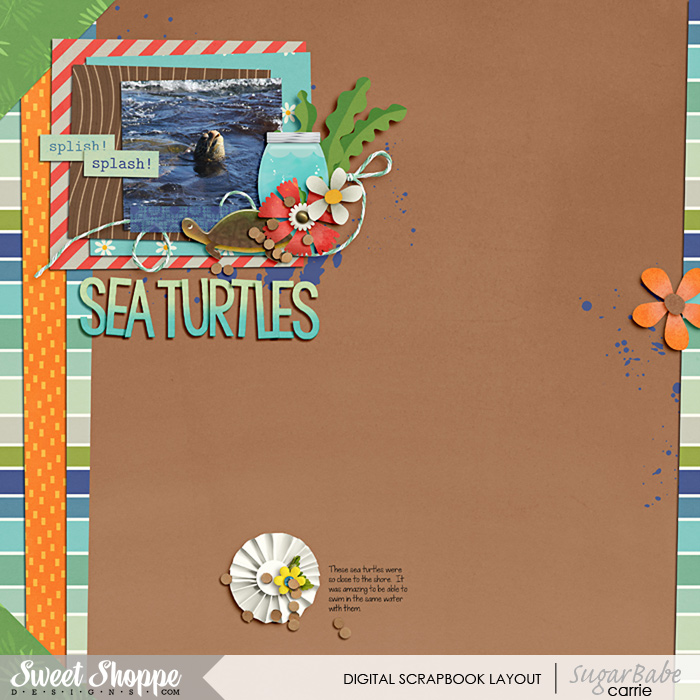 Sea Turtles