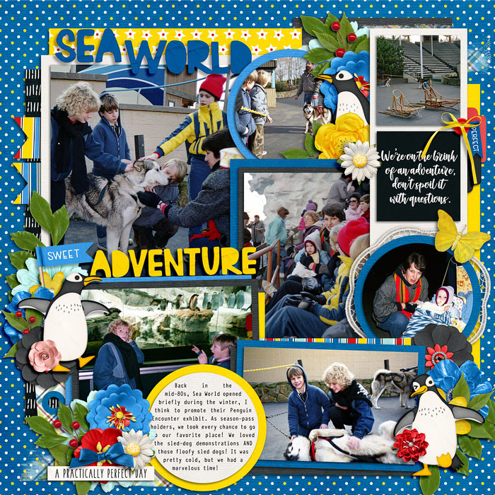 Sea World Adventure