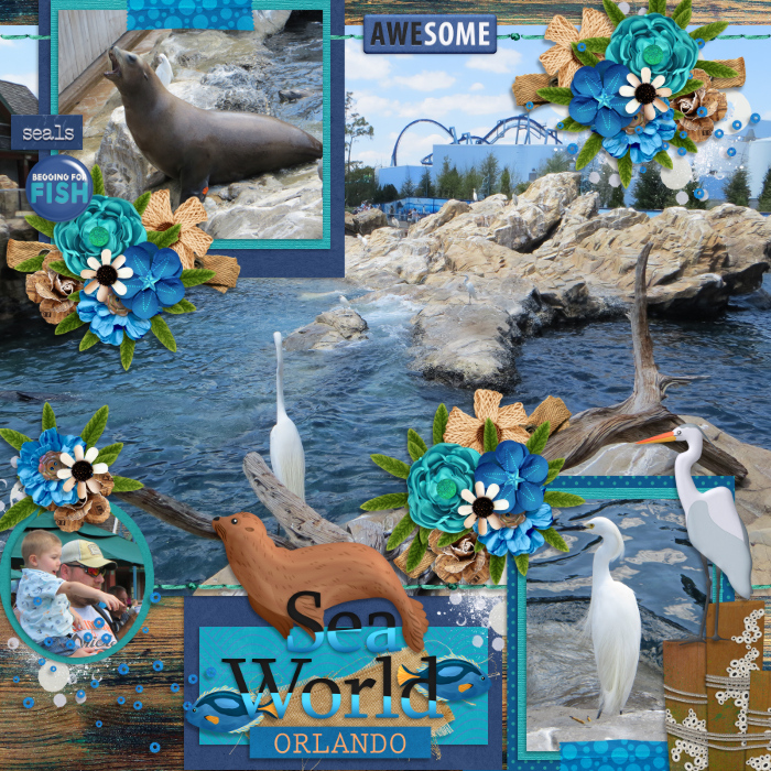 Sea World Orlando