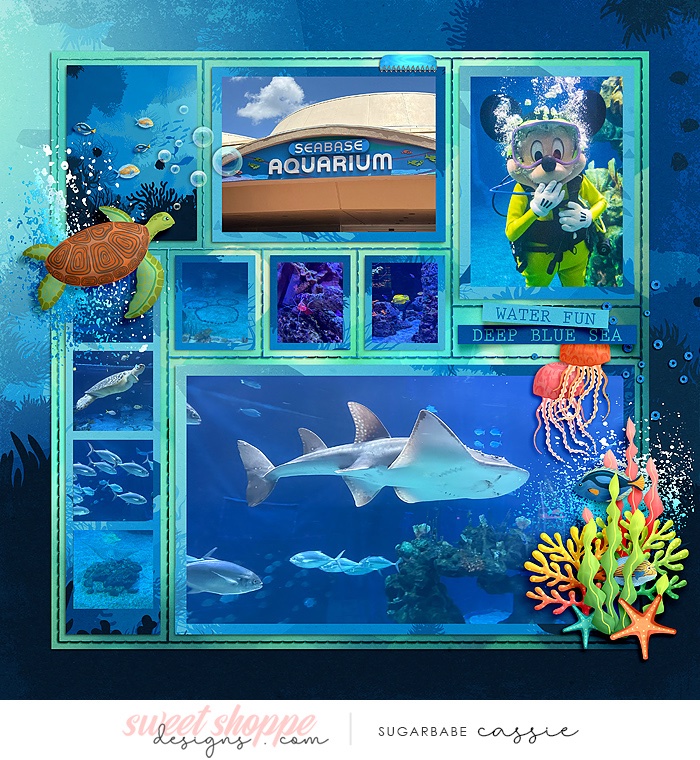 Seabase Aquarium