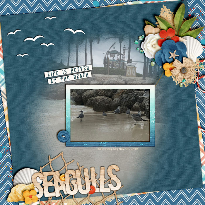 Seagulls