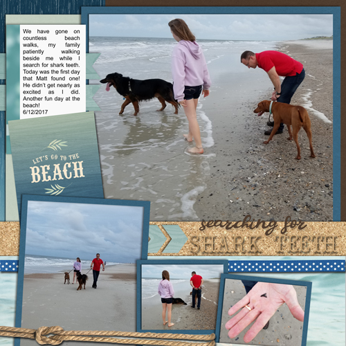 Searching for Shark Teeth
