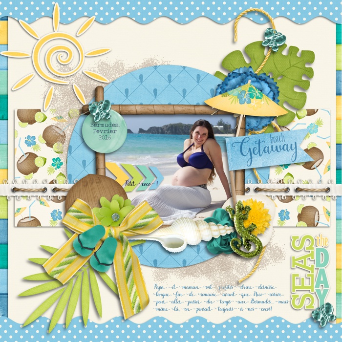 Seas the day