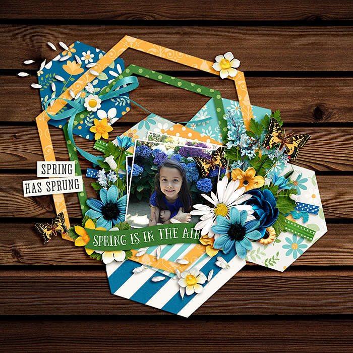 Seasons Idea Book Scraplift