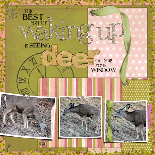 Seeing Deer
