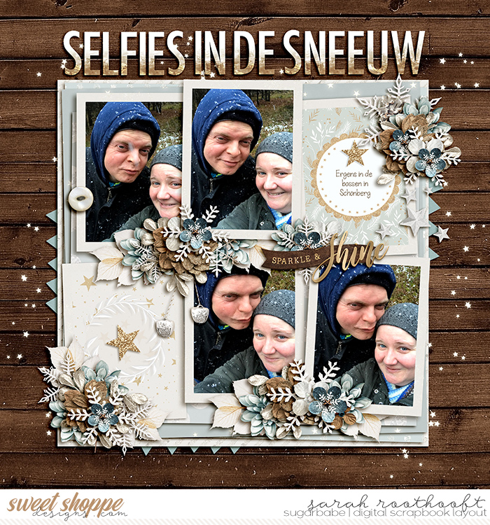 Selfies in de sneeuw