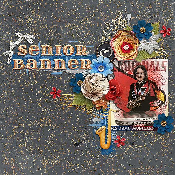Senior Banner