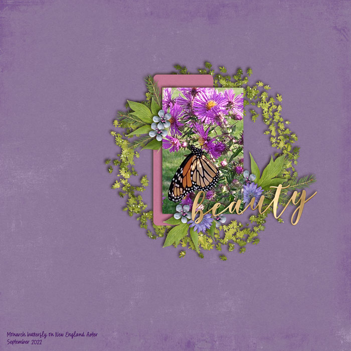 September Beauty