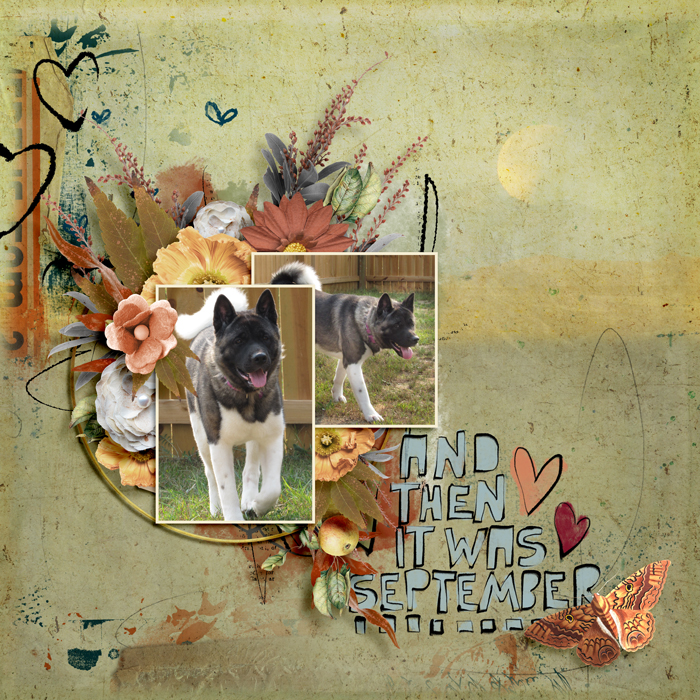 september pup