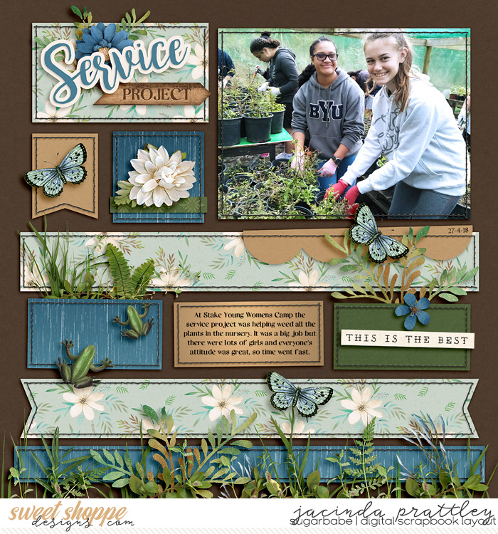 Service Project