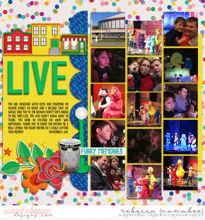 Sesame Street Live