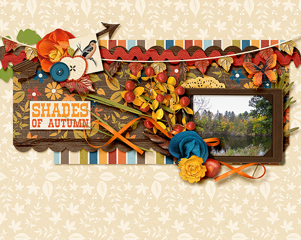 Shades of Autumn