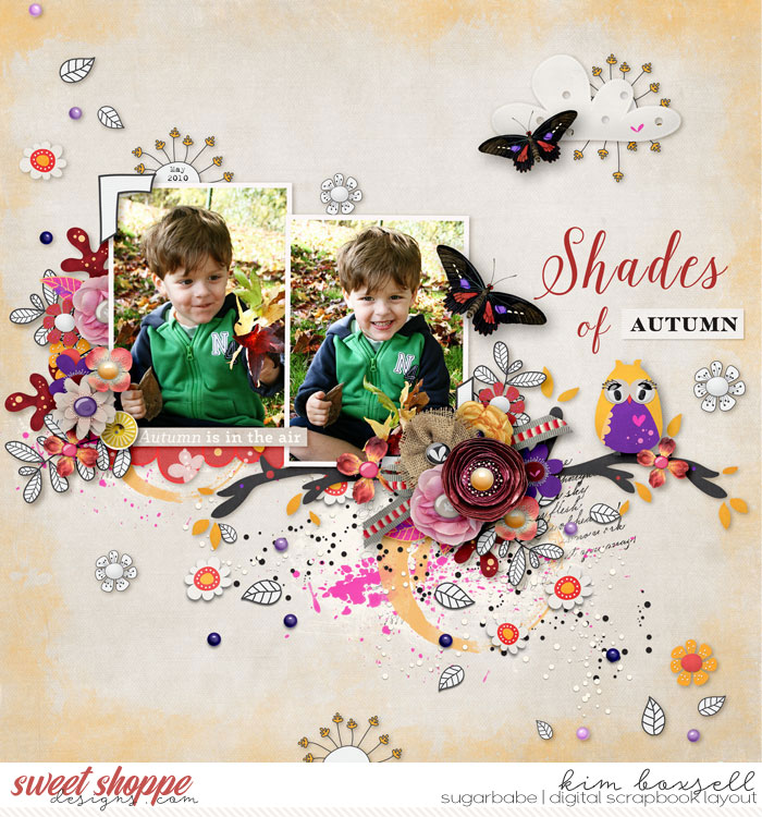 Shades of Autumn