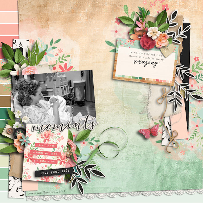 Shadowbox #13